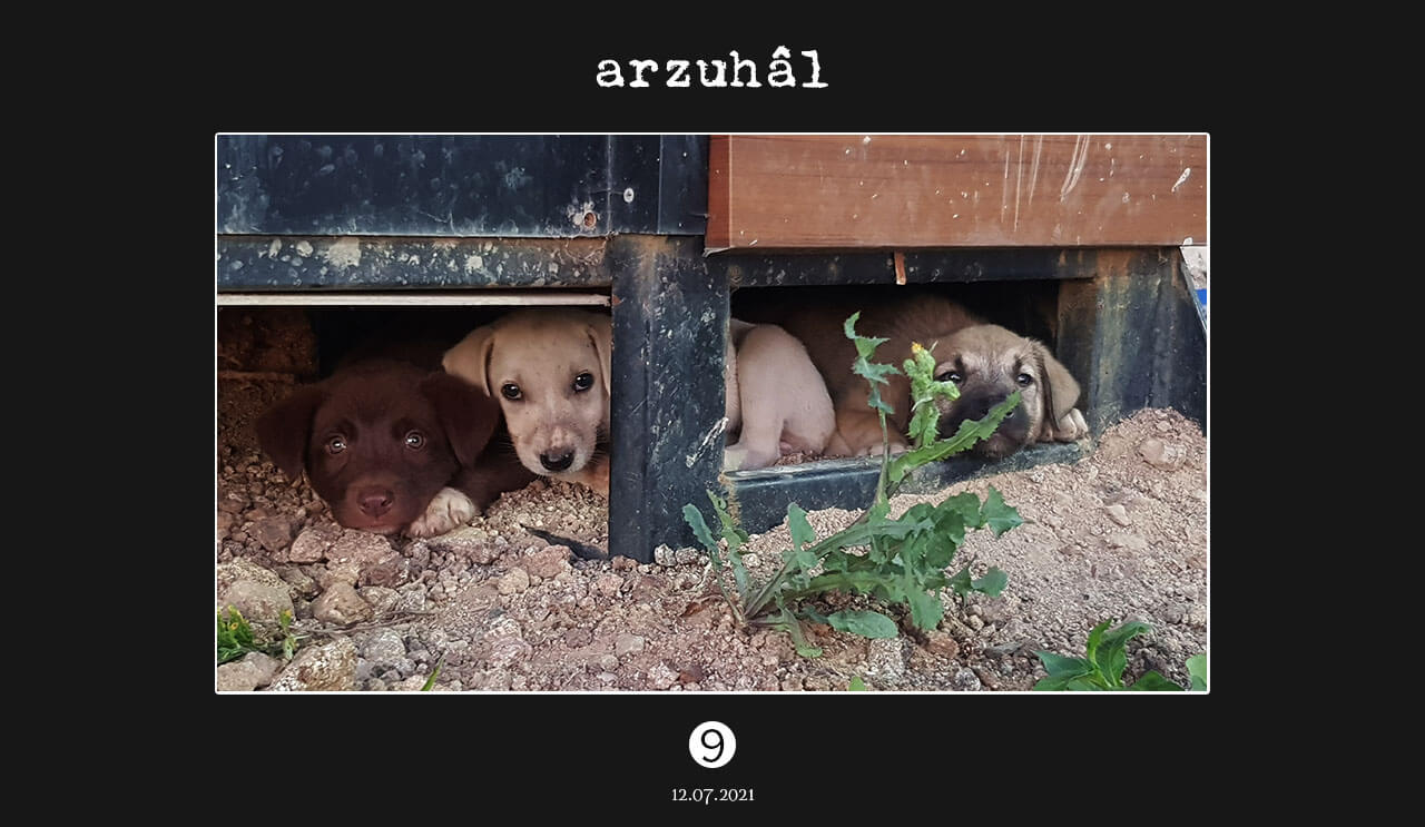 Arzuhâl 07.12.21