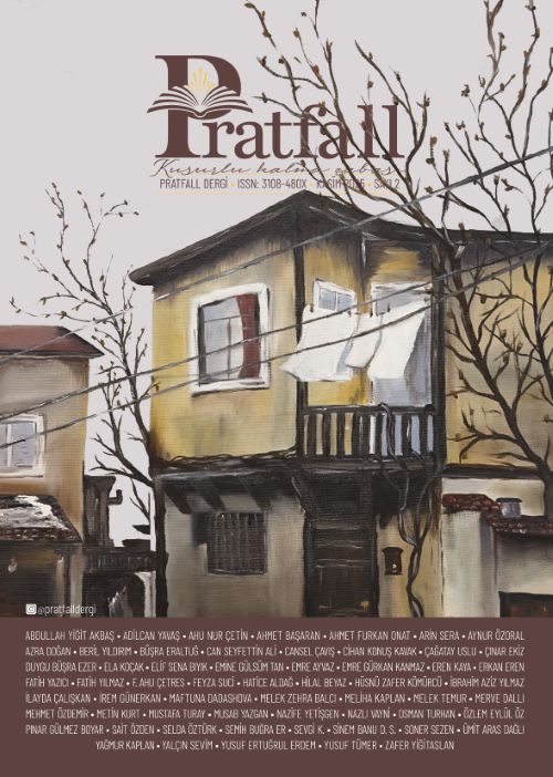 Pratfall Dergi 2. Sayı