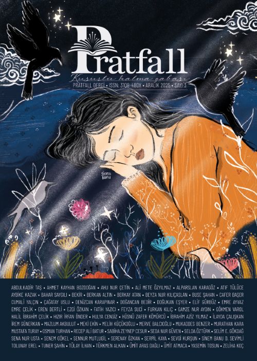 Pratfall Dergi 4. Sayı